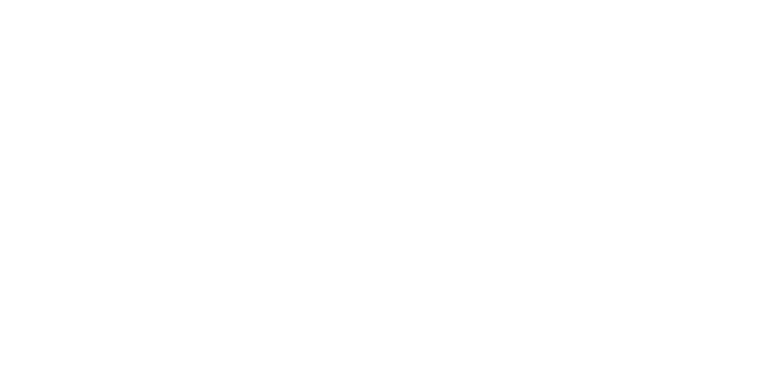 Andreia Ferreira